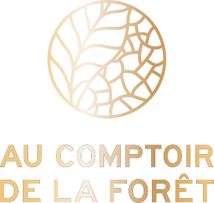 logo-footer-comptoir